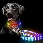 LED Dog Collar - Color Changeable L