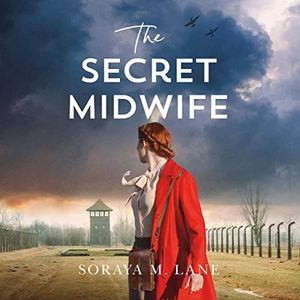 The Secret Midwife