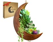 Hanging Moon Planter - Moms Day Gifts for Women - Moon Room Decor - Unique Planters for Succulents,Air Plant, Cactus, Artificial Plants- Plant Lover Gifts - Boho,Hippie, Witchy, Birthdays Gifts