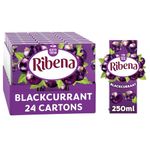 Ribena Blackcurrant Juice Drink Cartons - Multipack 24x250ml | Real Fruit | Rich In Vitamin C | No Artificial Colours or flavours | Perfect For On The Go