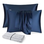 DISANGNI 100% Natural Mulberry Silk Pillow case for Hair and Skin with Hidden Zipper 22 Momme Both Sides Real Silk Pillow Case (2pc Standard Size 20" x26", Blue)