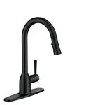 Moen 87233BL Adler One-Handle High Arc Pulldown Kitchen Faucet with Power Clean, Matte Black