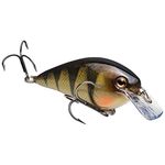 KVD Square Bill 1.5 / Yellow Perch