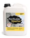 Patio Black Spot Remover Patio Cleaner for Natural Stone - Indian Sandstone, Limestone, Yorkstone - for Black Spots, Lichen, Green Algae and White Fungi - Restore Natural Colour - Biodegradable - 4 L