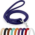 CollarDirect Rolled Leather Dog Leash 6ft, Soft Training Leather Dog Leash for Puppy and Grown Dog Small Medium Large Black Blue Red Orange Green Pink White (Purple, Size S 6ft)