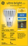 GE Ultra Bright Daylight 100W Replacement LED PAR20 Indoor Floodlight (1-Pack)