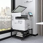 Natwind 2 Tier Laser Printer Stand,