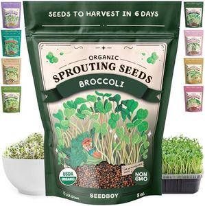 Seedboy Or