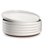 DOWAN 10.5” White Dinner Plates Set