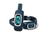 Petsafe Remote Dog Trainer 300m, transparent