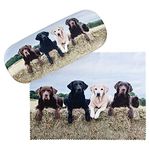 VON LILIENFELD Labrador Retriever Glasses Case Present Cleaning Cloth Spectacle Cases Lightweight Stable Dog Animal