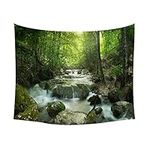 Nature Waterfall Tapestry, Fairy Image of Asian Waterfall by The Rocks in Forest Secret Paradise, Fabric Wall Hanging Decor for Bedroom Living Room Dorm, L 79' ( L ) x 59' ( W )