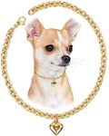 HOWWFALY Dog Collar and Cat Chain N