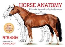 Horse Anatomy: A Pictorial Approach to Equine Structure