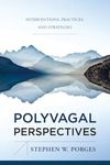 Polyvagal Perspectives: Interventions, Practices, and Strategies: 0 (IPNB) (Norton Series on Interpersonal Neurobiology)