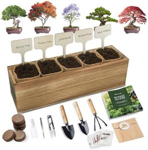 5 DIY Bonsai Tree Kit for Beginners, Complete Indoor Gardening Starter Kit with Seeds, Soils, Pots & Tools, Unique Birthday Gifts Ideas for Women, Men