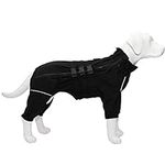 Dogs Waterproof Jacket, Lightweight