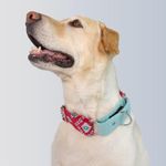 Dog-O-Bow Teal-Pink Aztec Martingale Collar for Dogs (Large)