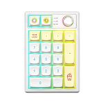 YUNZII YZ19 Wireless Mechanical Number Pad,19 Keys Numeric Keypad with Knob, RGB Gasket PBT Keycaps Hot Swappable Programmable Keyboard,Number Keypad for Win/Mac/Gaming(Gateron Yellow Switch,Macaron)