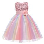 YILEEGOO Girls Dresses Flower Girl Wedding Party Sequins Princess Dress Birthday Tutu Formal Gown Prom Dress (Tutu Dress-Baby Pink, 4-5 Years)