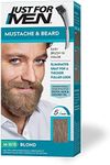 Just For Men Mustache & Beard, Bear