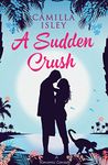 A Sudden Crush: An Enemies to Lovers Romantic Comedy