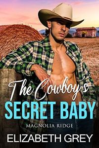 The Cowboy's Secret Baby: Secret Baby Best Friend's Brother Cowboy Romance (Magnolia Ridge Western Romance)