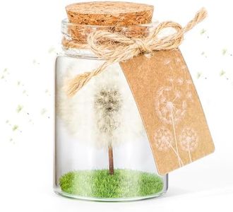 Giftota Pl
