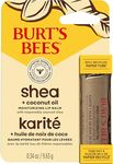 Burt's Bees Shea and Coconut Oil Moisturizing Lip Balm Paper Tube, Natural Origin Lip Care, 9.6g.