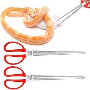 2PCS Snake
