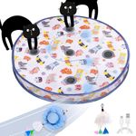GoldenSun Cat Toys, Interactive Cat Toy for Indoor Cats, Automatic Random Rolling Ball Kitten Toys in Pouch, Hide and Seek for Indoor Cats Adult, USB Rechargeable, 5 Holes Mat Mouse Catching Game