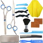 Fycooler Hair Cutting Scissors Kits, Stainless Steel Hairdressing Shears Set Thinning/Texturizing Scissors Professional Barber/Salon/Home Shear Sets