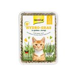 GimCat Hydro Grass - Fresh cat grass harvested from certified open fields, ready in only 5 to 8 days - 1 punnet (1 x 150 g)