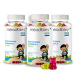 Meadbery Multivitamin And Mineral Gummy Bears Jelly Glutenfree Formula With Vitamin C Vitamin D Vitamin B12 B6 Zinc For Kids Growth Development Immunity (Pack of 3 (90))