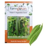 FARMGO 10 Gms - RIDGE GOURD (TORU, TORAI) SEEDS, Vegetable Seeds for Home Gardening, Farming, Hydroponics and Poly Houses