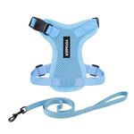 Voyager Step-in Lock Pet Harness - All Weather Mesh, Adjustable Step in Harness for Cats and Dogs by Best Pet Supplies - Baby Blue, XXS