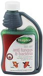 Blagdon Fast Acting Anti-Fungus & Bacteria Water Treatment for All Pond Fish, Finrot, Mouthrot, External Bacterial Infections, Wildlife & Fish Safe, 250 ml