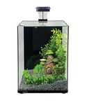 Aqua One Focus 23 Glass Aquarium 23L 30x22x41cm Black