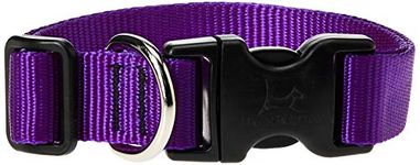 Lupine Adjustable Dog Collar for Medium/ Large Dogs 1-inch/ 12 - 20-inch Purple