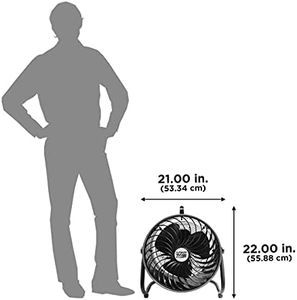 Slide 5
