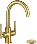 Gold Bathroom Faucet Single Hole, Lava Odoro Brushed Brass Bathroom Faucet, 2 Handle Modern Bathroom Sink Faucet Bar Faucet with Pop up Drain Assembly, Deck Plate Included, BF555-SG