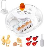 Egg Incubators 16-32 Egg Incubators for Hatching Eggs with Automatic Egg Turning, Temperature & Humidity Control, Auto Water Adding, LED Egg Candler, 360°View for Hatching Chicken Quail Duck Bird