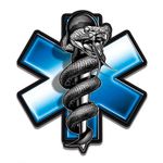 GT Graphics EMT Snake Paramedic Medic - 3" Vinyl Sticker - for Car Laptop I-Pad Phone Helmet Hard Hat - Waterproof Decal