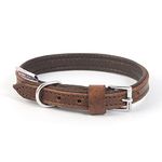 Ancol Heavy Duty Vintage Padded Leather Chestnut Collar Pet Training Accessory 45-54cm, Size 6