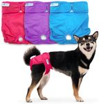 Paw Inspired Washable Dog Diapers | Reusable Dog Diapers | Female Dog Diapers | Absorbent Dog Diapers | Doggie Diaper | 3 Pc | Multiple Colors | Assorted (White Lining) | Medium