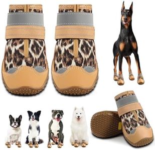 Dog Shoes 