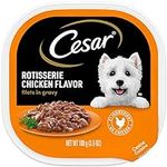 CESAR Filets in Gravy Adult Wet Dog