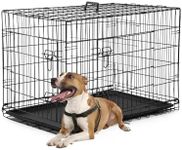 FDW Dog Crate Dog Kennel Cage with 