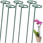 6 Pack Plant Support Stakes for Indoor Plants