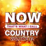 NOW Country Vol. 12 (Various Artists)